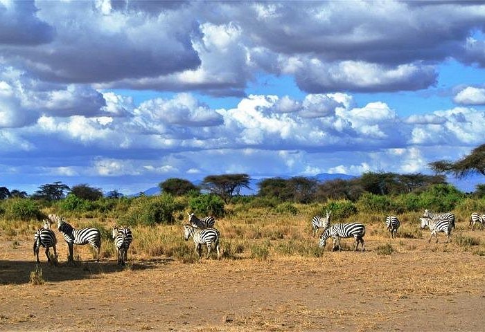 Kenya Experience Beauty in the Wild